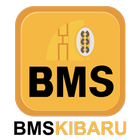 BMSKIBARU icon