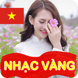 Nhạc Trữ Tình icône