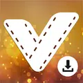 Video Downloader