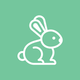 Rabbit Information