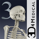 Essential Skeleton 3-icoon