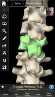 Essential Skeleton 3 ภาพหน้าจอ 2