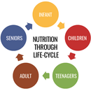 Nutrition through life cycle APK