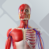 APK BioAtlas - Anatomia Humana 3D