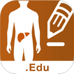 LIVER-NOTE.Edu