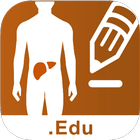 LIVER-NOTE.Edu 아이콘
