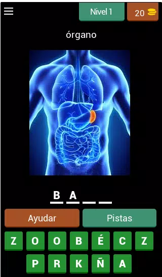 Anatomia Quizzes