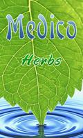 Medicinal Plants & Herbs Plakat