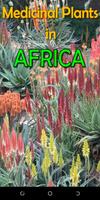 Medicinal Plants in Africa পোস্টার