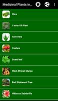 Medicinal Plants in Africa screenshot 1