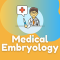 Medical Embryology