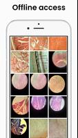 Medical Histology & Embryology syot layar 2