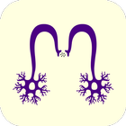 MEDIKQUIZ -ENAM RESIDENCIA MIR icône