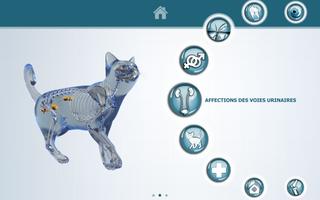 VisioCare Consult Affiche
