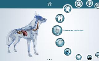 VisioCare Consult capture d'écran 1