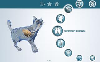 VisioCare Consult poster