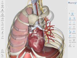 3D Organon Anatomy capture d'écran 1