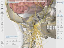 3D Organon Anatomy capture d'écran 2