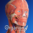 3D Organon icon