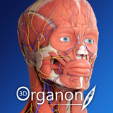 3D Organon aplikacja