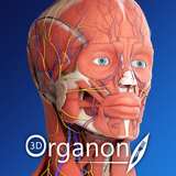 3D Organon Anatomy APK