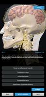 3D Organon ภาพหน้าจอ 3