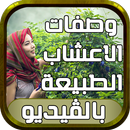 APK دليل وصفات الاعشاب الطبيعة