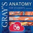 Gray's Anatomy Flash Cards APK