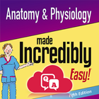 Anatomy & Physiology MIE NCLEX Zeichen