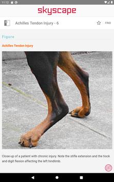Cote's Clinical Veterinary Advisor: Dogs and Cats 截图 19