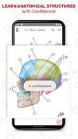 Netter's Anatomy Flash Cards imagem de tela 3