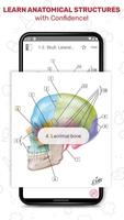 Netter's Anatomy Flash Cards captura de pantalla 3