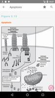 Oncology Nursing Drug Handbook 스크린샷 3