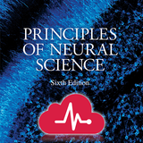 Principles of Neural Science APK