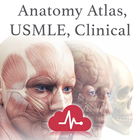 Anatomy Atlas, USMLE, Clinical icône