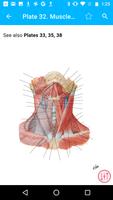 Anatomy Atlas, USMLE, Clinical capture d'écran 1