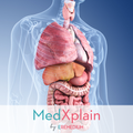 MedXplain-3D Patient Education
