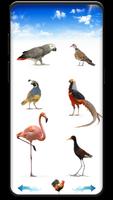 Bird sounds ảnh chụp màn hình 3