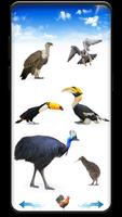 Bird sounds ảnh chụp màn hình 1