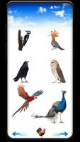 Bird sounds ảnh chụp màn hình 2