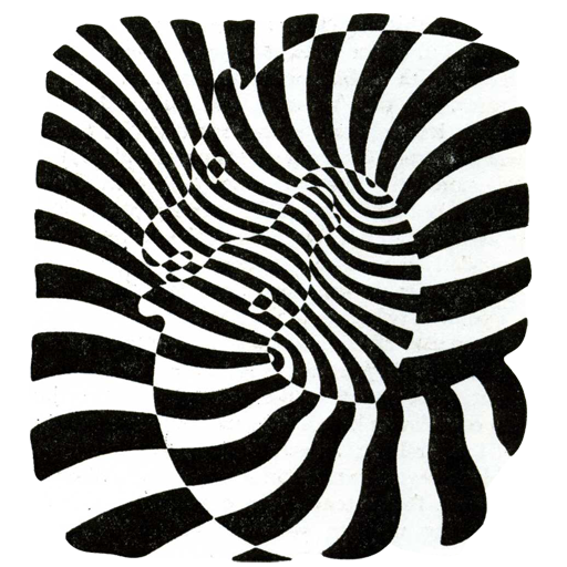 Twister Illusion