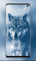 Cute Dog Wallpapers captura de pantalla 1
