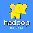 Learn Hadoop and Big Data