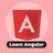 Learn Angular Offline APK