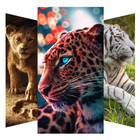 Cheetah and Lion Wallpapers আইকন