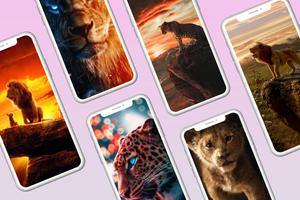 Cheetah and Lion Wallpapers পোস্টার