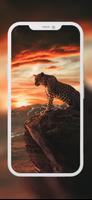 Cheetah and Lion Wallpapers স্ক্রিনশট 3