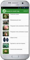 Вредители и болезни плодовых деревьев. Защита сада poster