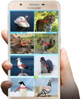 A to Z Animals Sound - App ภาพหน้าจอ 3