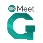 Guide Google meet-icoon